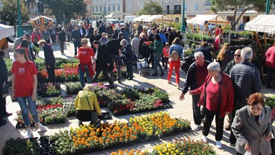 18. Cvjetni sajam  „Lošinjski cvijet“