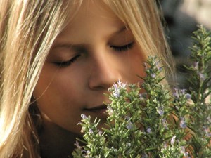 March: ROSEMARY, LAUREL AND EUCALYPTUS