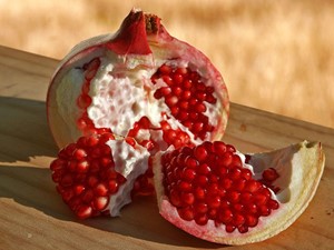 October: Myrtle, Strawberry Tree & Pomegranate