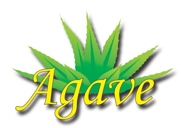 TA Agave