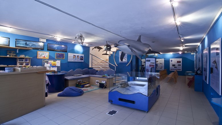 Blue World Institute