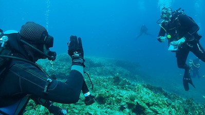 Diving