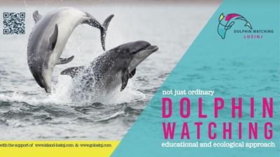 Dolphin Watching Lošinj