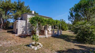 Eco House Zabodarski