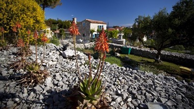 Il giardino aromatico dell’isola