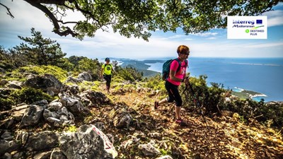 Interreg Destimed Plus: Profesionalno testiranje ekoturističkog paket aranžmanana na zaštićenom maritimnom području Cres – Lošinj (Natura 2000)