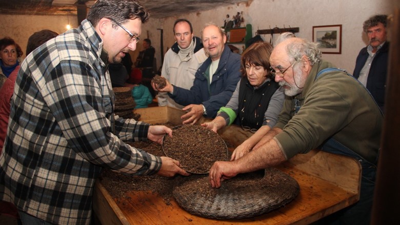 L' antico torchio per le olive