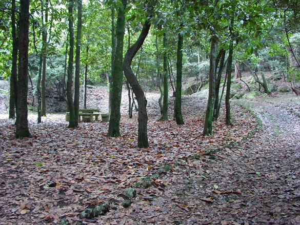 Lječilište Veli Lošinj - Park šuma Podjavori