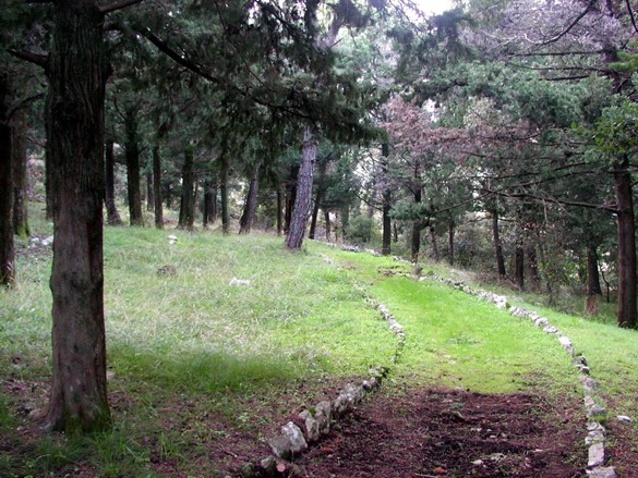 Lječilište Veli Lošinj - Park šuma Podjavori