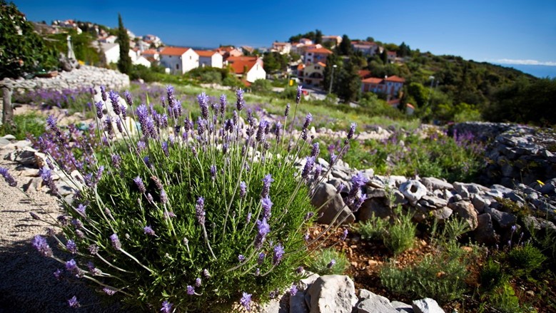 Lošinj kroz stoljeća