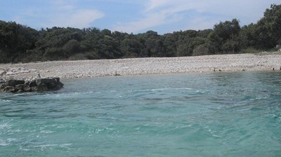 Lučica