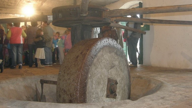 Torać - Old olive mill for olives