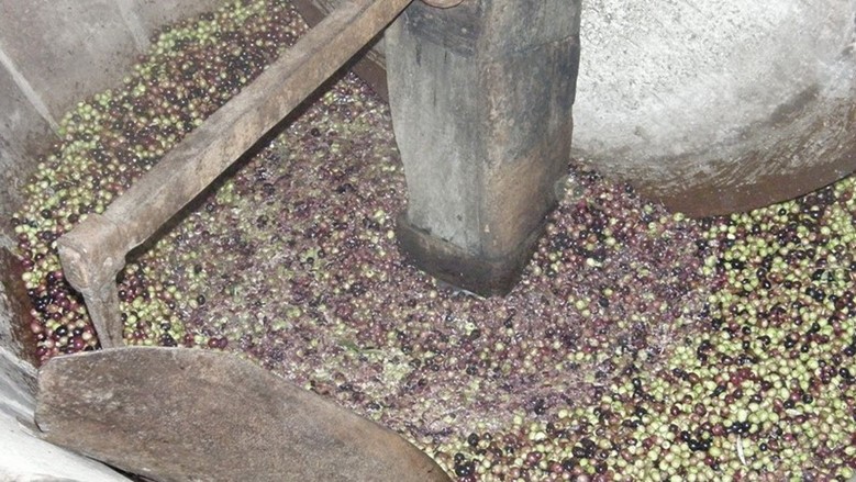 Torać - Old olive mill for olives