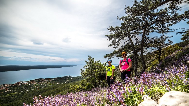 Osoršćica