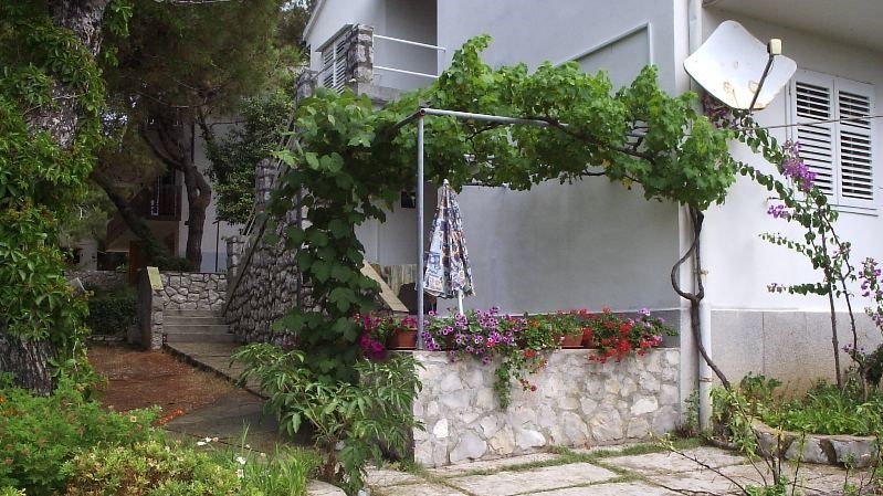 Satalić Marta