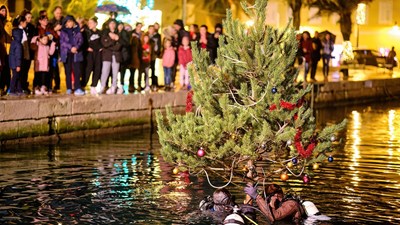 Sinking of a christmas tree
