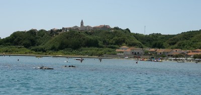 Susak