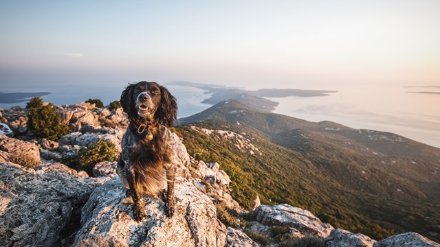 <strong>Respect Lošinj !</strong>